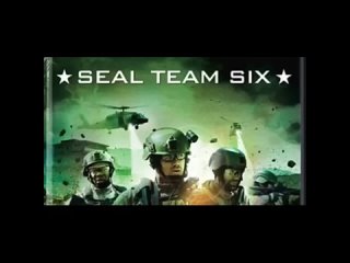 Seal Team 6 Survivor Aaron Vaughn and the Real Truth, when they took down bin _rus