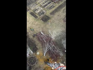 Видео от ArboristUral Спил деревьев в Челябинске.