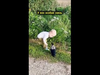 This_2-year-old__is_...Прикол.mp4