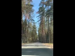 Video by Клуб триатлона NovgorodTRI Великий Новгород