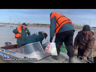 Спасатели МЧС России перевозят людей из отрезанных водой деревень и сел, их домашних питомцев, доставляют продукты питания и мед