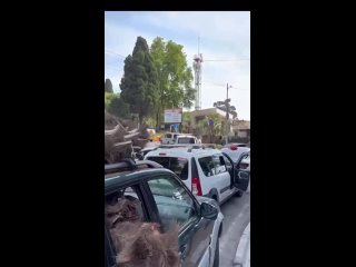 Откуда дровишки? Из Сочи, вестимо…  Снято на перекрестке улиц Войкова и Несебрская, в двух шагах от морского порта Сочи. (видео)