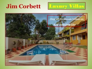 Luxury Villas for Rent in Jim Corbett - Experience Adventurous Family Retreat