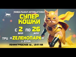 Выставка супер-кошек в “Зеленопарке“