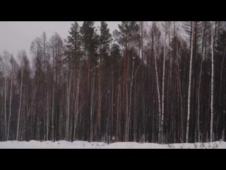 Открытый Кубок города по сноуборду провели в северной столице Приамурья - эти соревнования стали дебютными для юной жительницы Т