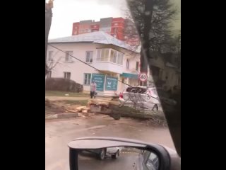 В Новомосковске ветер повалил деревья