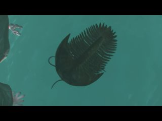 Thy Catafalque - Trilobita (fanmade video с переводом)
