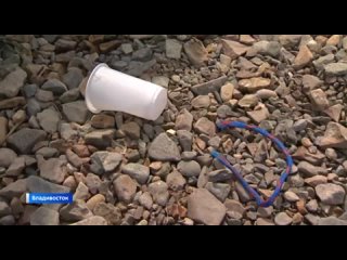 Владивостокцы поддержали всероссийскую экологическую акцию Вода России. У Токаревского маяка активисты убирали косу от мусора,