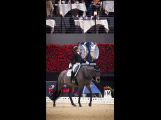 Video von Equestrian Buyer