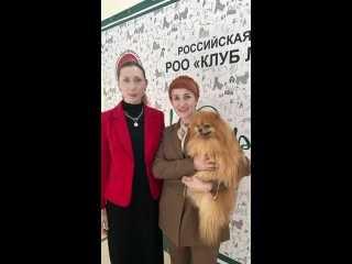 Video by КРОО КЛУБ ЛЮБИТЕЛЕЙ ЖИВОТНЫХ “ХВОСТУН“ г Ачинск