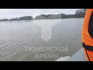 Сегодня наша съёмочная группа работает в Викуловском районе