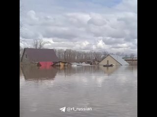 Обстановка в СНТ «Гидропресс» в Оренбурге