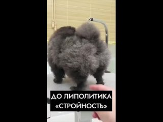 Видео от КОСМЕТОЛОГ КАРИНА МОСКВА