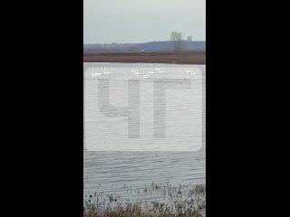 Видео от ЧЕСТНО ГОВОРЯ | новости Уфы и Башкирии