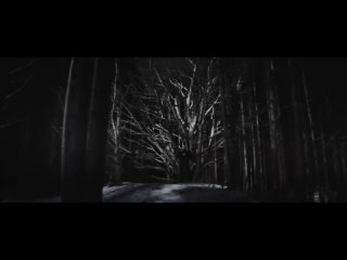 Wardruna - Hertan (Heart) Official Music Video