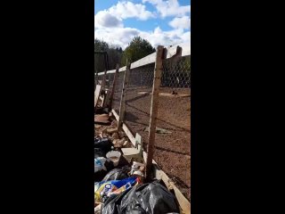 Видео от Дари Добро Совместная помощь бездомным животным
