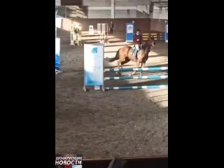 Всадницу дисквалифицировали на два года за жестокое обращение с лошадь