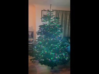 nina nesbitt & mike duce christmas tree (2023)