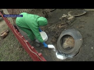 В Михайловском и Волчихинском районах начали дезинфекцию придомовых территорий.