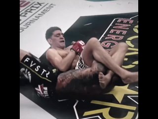 nick diaz