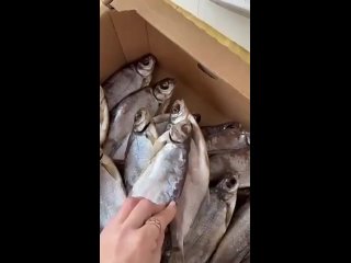 Видео от Рыба Икра Морепродукты I Волжская рыба Чувашии