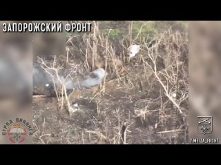 Footage of the work of the FPV crew of the “VIKING FORCE” to destroy equipment and positions of the Armed Forces of Ukraine in t