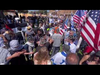 Два митинга — пропалестинский и произраильский — встретились в Калифорнийском университете в Лос-Анджелесе