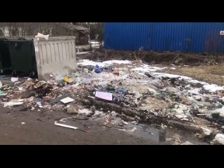 Из дворов во Мге вывезли крупногабаритный мусор после вмешательства ЛенТВ24