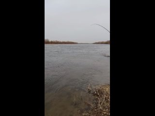 Video by База отдыха Рыба Зверь