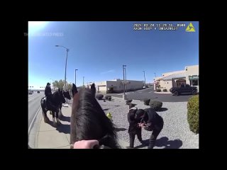 В Нью-Мексико полицейские на лошадях догнали вора