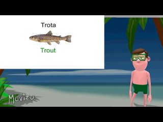 Names of fishes in italian - Learn italian language