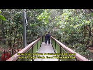 [elmiraj diary] Hutan Mangrove Jakarta Rekomendasi Wisata Murah di PIK by elmiraj diary