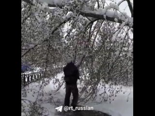 Фуры вторые сутки стоят в огромных пробках на трассе в сторону Ревды из-за майских снегопадов на Урале.