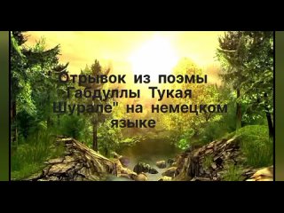 Аптыкаева Екатерина Андреевна, 8 класс, МОАУ СОШ №3.  Руководитель: Потерикина Ирина Ралифовна.  #Тукаевскиенапевы2024