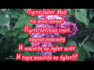 Поздравление с 1 Мая! Красивое, музыкальное поздравление с Первомаем! Шикарная музыкальная открытка!.mp4