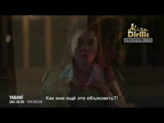 2 Анонс 30 серии сериала ДИКИЙ