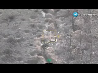 «Отважные» обращают в бегство боевиков ВСУ и сбивают прилетевшую бомбить «Бабу Ягу»