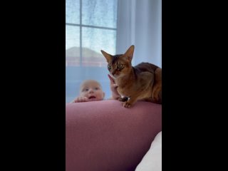 Видео от Xerxes_Aristocat