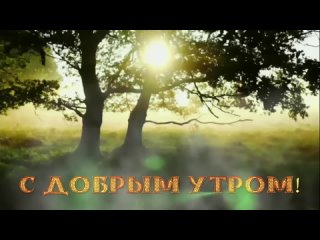 видеооткрытка_с_добрым_утром (1).mp4