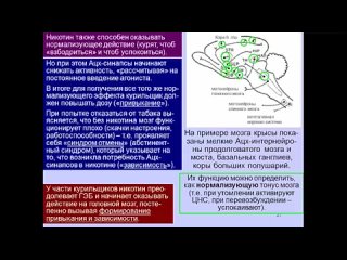 Дубынин Вячеслав - Мозг_ ацетилхолин и его функции никотин