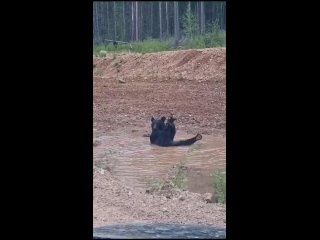 Видео от Хроники параллельной реальности