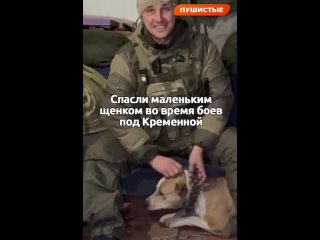 Спасли маленьким щенком во время боев под Кременной, а взамен получили нового друга.