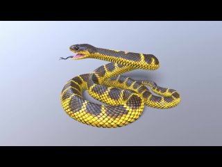 Animated Game Ready Tiger Snake 3D Model