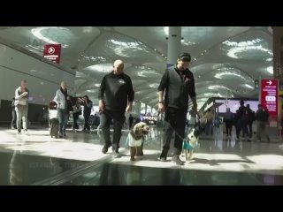 🐕‍🦺Терапевтические собаки появились в стамбульском аэропорту