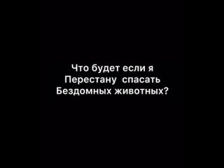 Видео от АНО ДОБРЫЙ МИР АНАПА Частный приют для собак