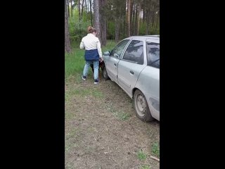 Video by Дрессировка собак в Липецкой области. #НоузворкЛ