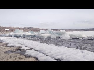 Видео от Экологический центр “Стриж“