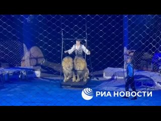 Братья Запашные приехали в Луганск и показали в местном цирке премьеру своего спектакля