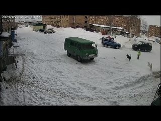 В Игарке собаки напали на ребенка