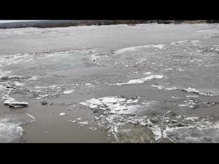 Уровень воды в реке Томь в районе Томска резко вырос за последние сутки